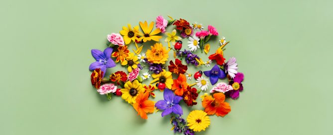 Flowers laid out in the design on a human brain.